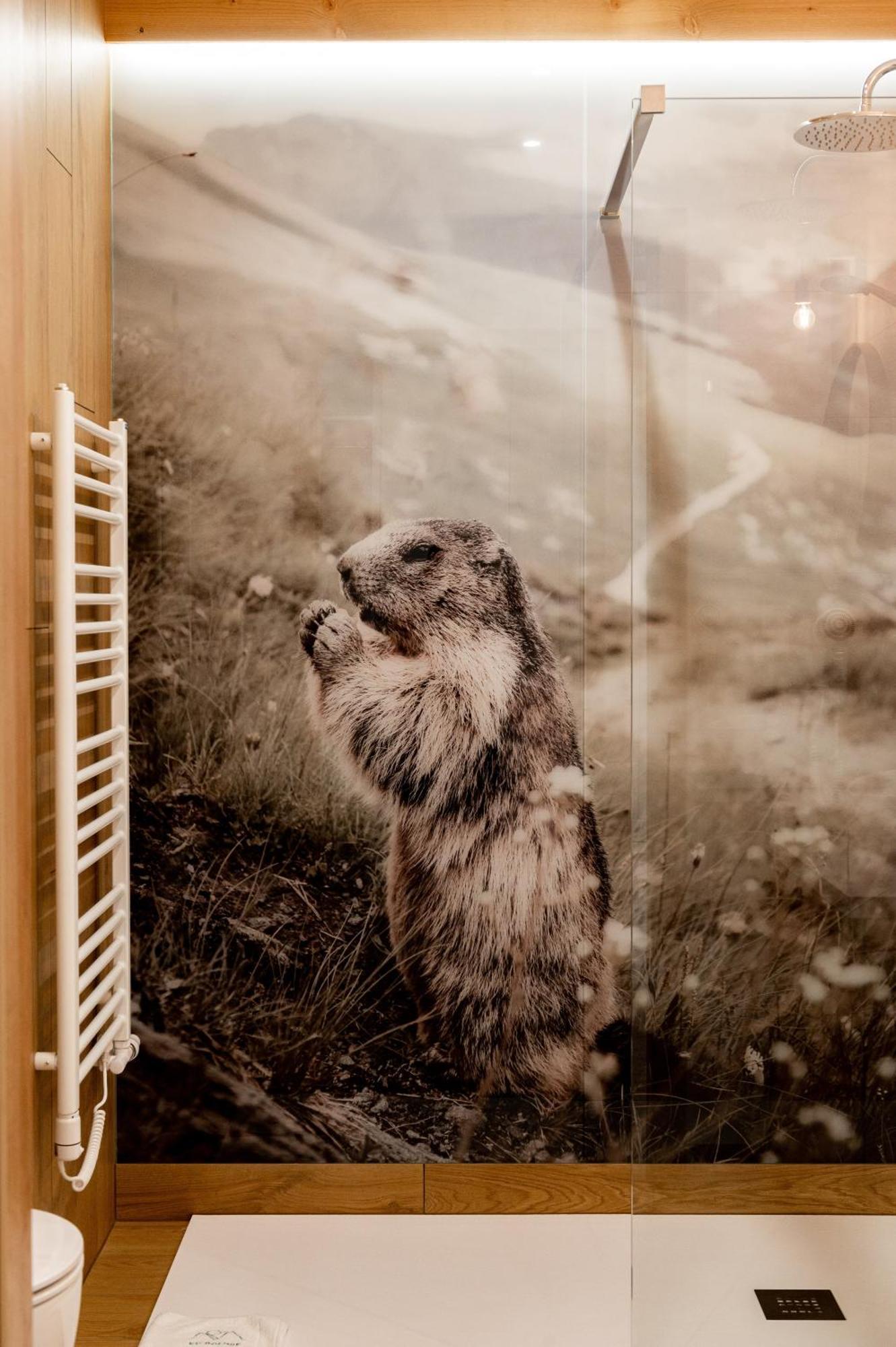 Aparthotel Ku Dolinie Kościelisko Pokoj fotografie